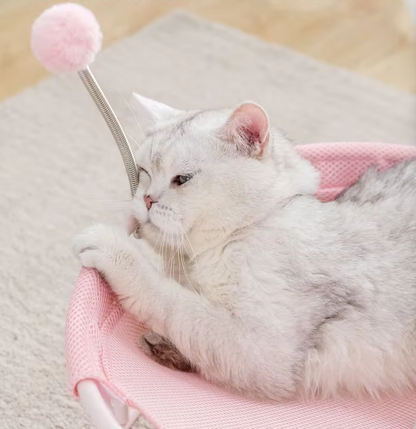 Hamac pour Chats Rond - Lieu de Repos Confortable pour Chats avec Balles de Jeu Châssis Stable