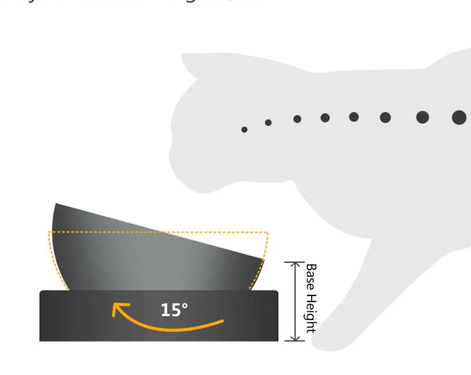 Écuelle Double pour Chat en Acier Inoxydable avec Support