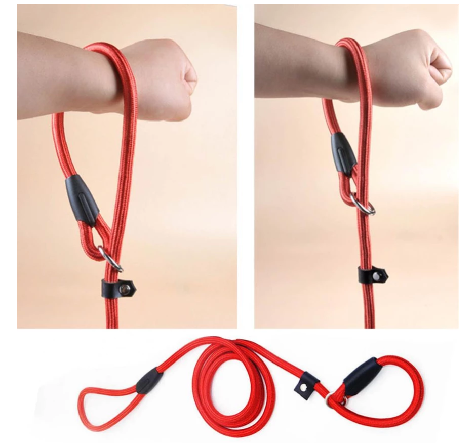 Laisse De Chien En Corde Résistante Avec Mousqueton Pour Une Promenade En Toute Sécurité