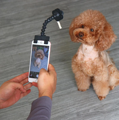 Selfie - Stick pour Animaux de Compagnie avec Support pour Friandises