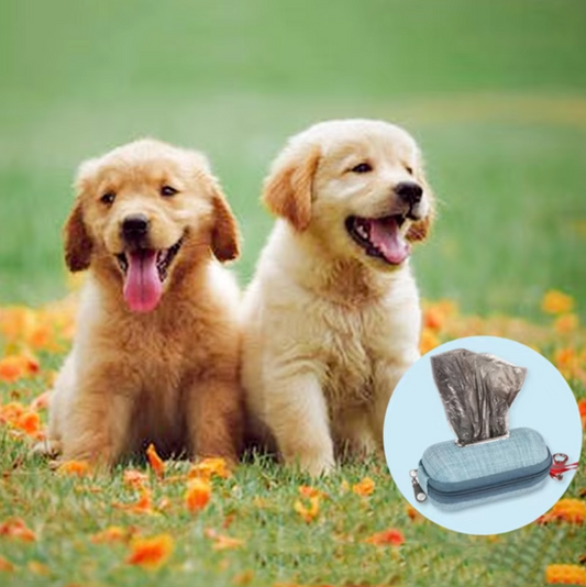 Sac Pratique Pour Sacs À Déjections Canines - Rangement Compact Avec Poignée De Transport