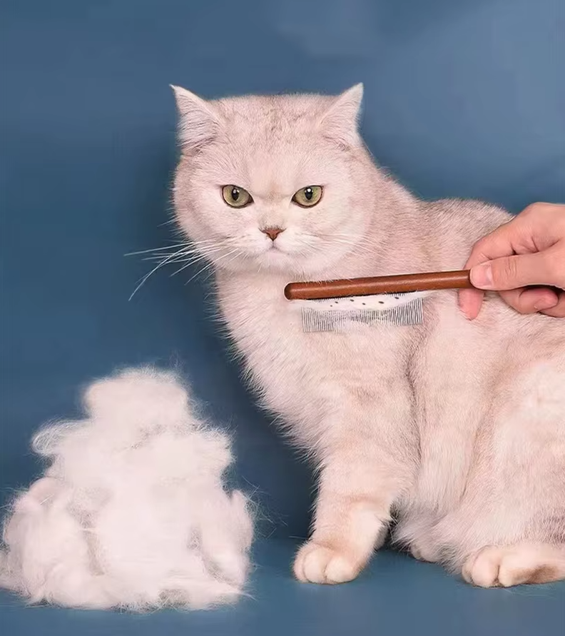 Peigne anti-puces en bois de haute qualité - Soin doux du pelage pour les chats et les chiens