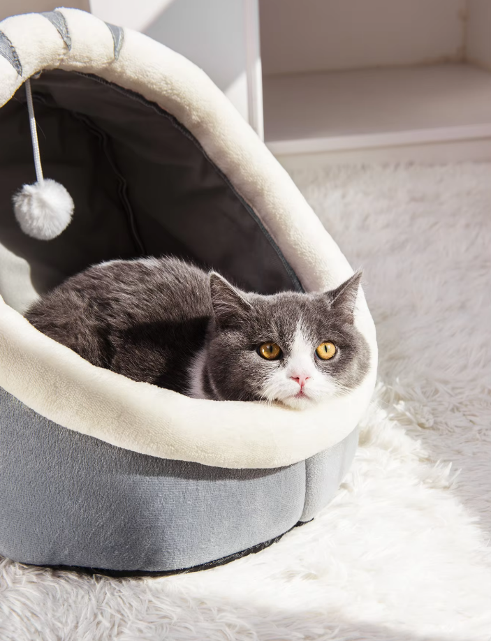 Lit pour Chat Douillet - Iglo Moelleux avec Balle de Jeu pour les Oreilles