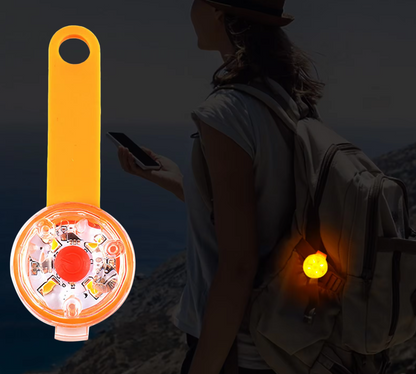Lumière de Marque pour Chien - Lumière de Sécurité Étanche Rechargeable pour Chiens Chats