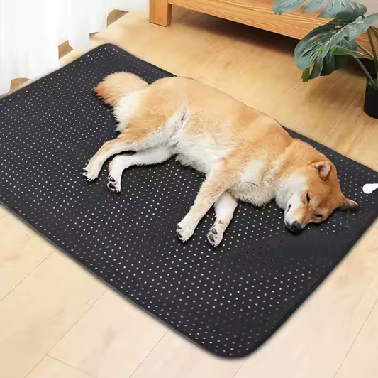 Matelas Rafraîchissant Respirant Pour Chiens Et Chats Avec Dessous Antidérapant