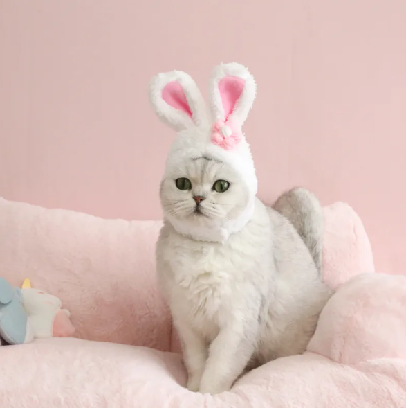 Chapeau pour Chat avec Oreilles de Lapin et Design Carotte ou Fleur pour des Photos Adorables de Compagnons
