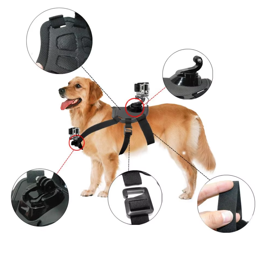 Harnais Pour Caméra D' Action Pour Chiens Avec Support Pour Le Poitrail Et Le Dos