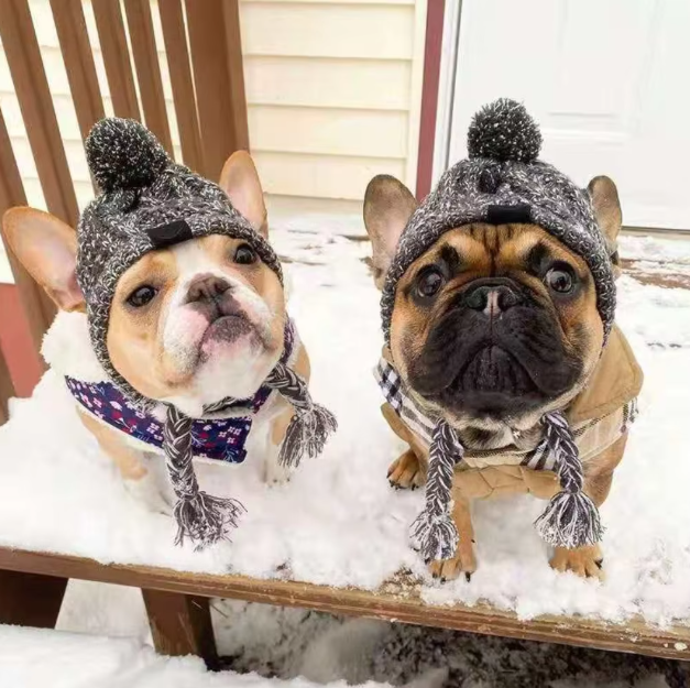 Casquette Stylée Pour Chiens Avec Pompon - Bonnet D' Hiver Chaud Pour Petits Chiens