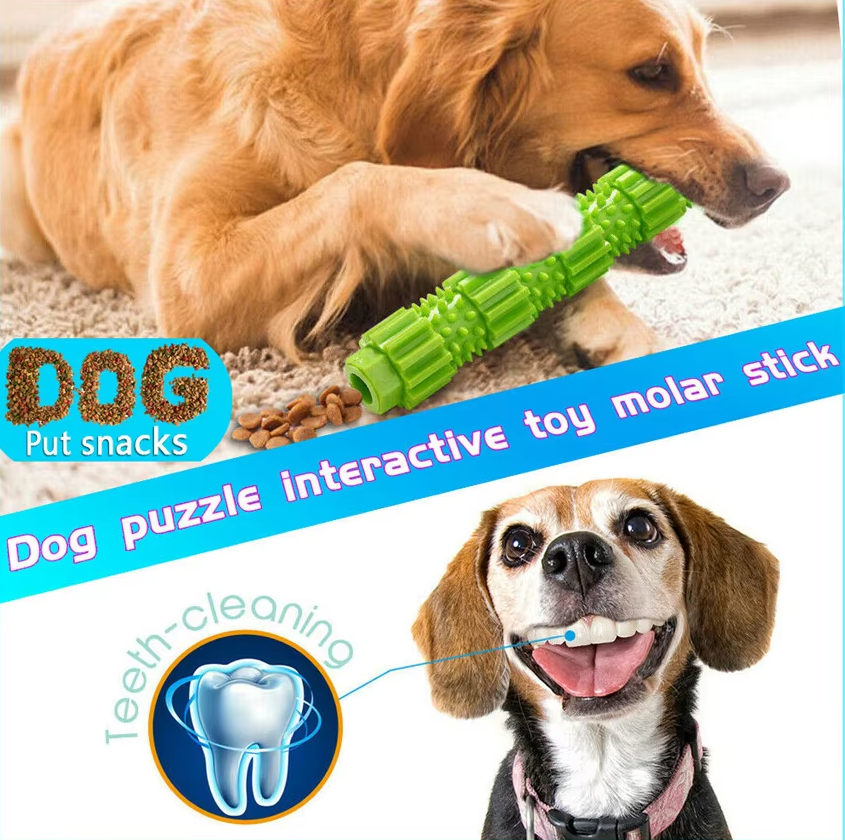 Jouet à Mâcher pour Chien - Bâton de Dentition Robuste avec Fonction de Friandise Effet D' Hygiène Dentaire