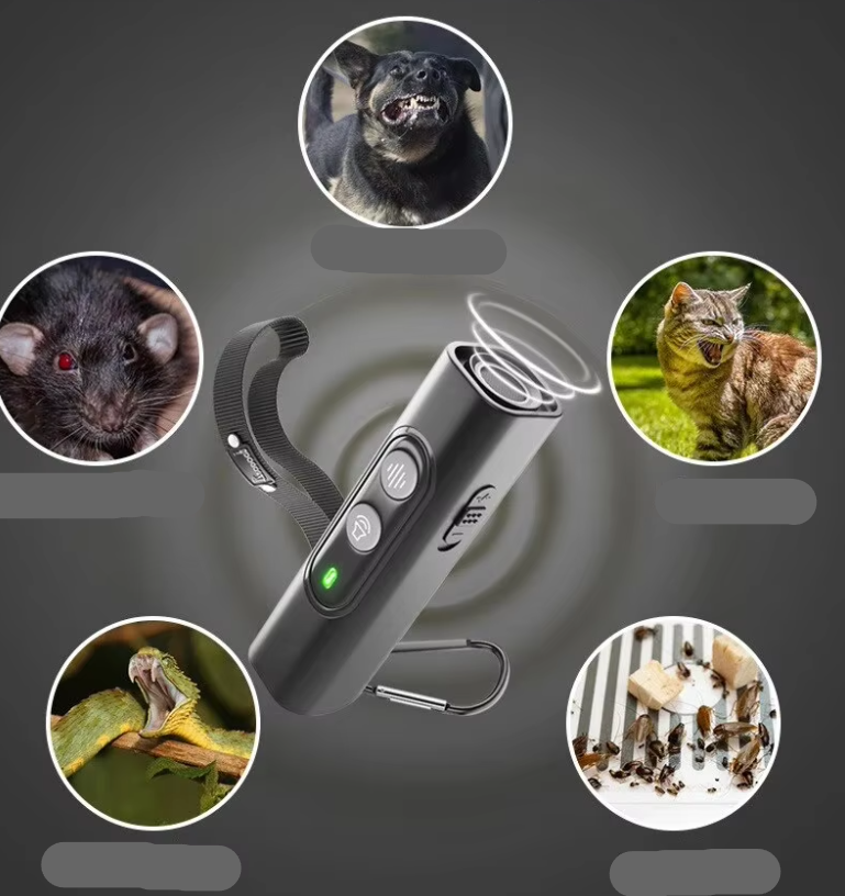 Développeur de Chien Portable avec Télécommande