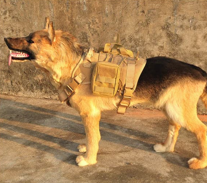 Harnais Tactique Pour Chiens Avec Poches Et Laisse Pour L' Entraînement Et L' Utilisation En Extérieur