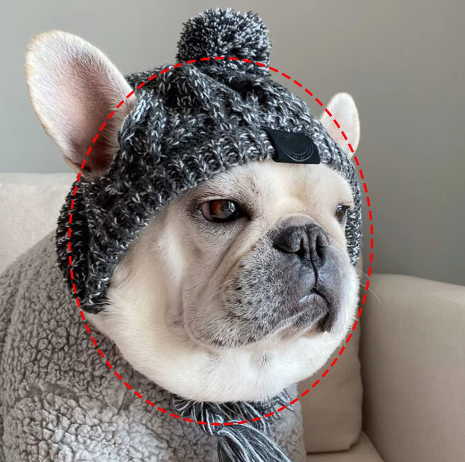 Casquette En Tricot Pour Animaux Domestiques Avec Pompon Et Pompons Torsadés En Rose