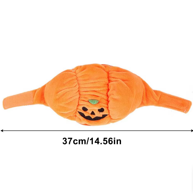 Costume Citrouille D'halloween Pour Chiens