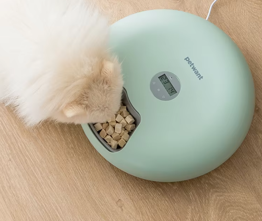 Ecuelle Automatique pour Animaux Domestiques - Distributeur Numérique de Nourriture en Différentes Couleurs
