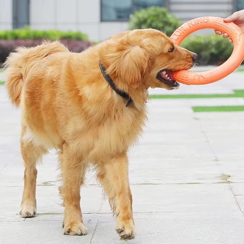 Anneau à Lancer et à Mordre Robuste - Jouet Interactif pour Chien pour un Plaisir Actif