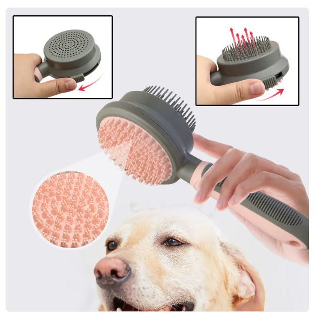 Brosse à Chat pour le Soin du Pelage - Tête de Brosse à Double Face pour Démêler