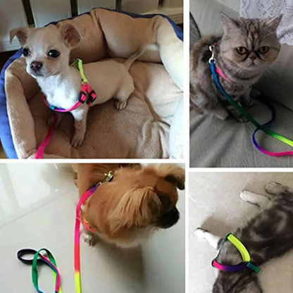 Harnais Coloré Avec Laisse Réglable Pour Chiens