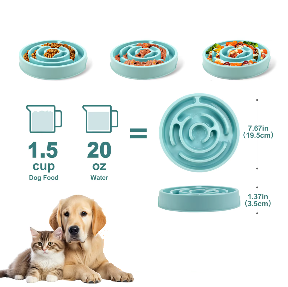 Bol D' Alimentation Lent pour Chiens
