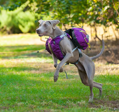 Sac À Dos De Randonnée Pour Chiens Avec Poches Étanches - Civière Portable Pour Chiens Pour Les Activités De Plein Air