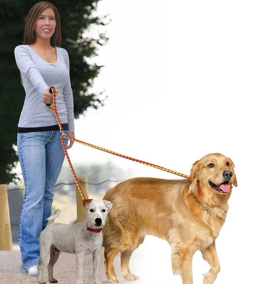 Laisse pour Chien en Nylon - Laisse Double Robuste pour Chiens en Kit avec Poignée