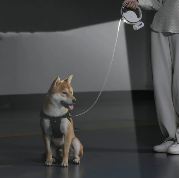 Laisse Pour Chien Avec Lumière Led Et Mécanisme Extensible Pour Une Promenade En Toute Sécurité