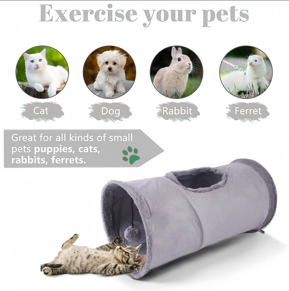 Tunnel pour Chats avec Fenêtre - Jeux et Cachettes pour Tigres Actifs