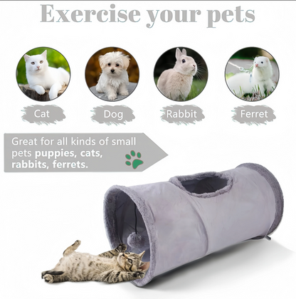 Tunnel pour Chats avec Fenêtre - Jeux et Cachettes pour Tigres Actifs