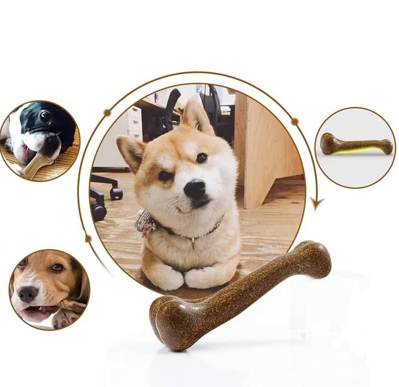 Article à Mâcher Durable pour Chiens - Non Toxique Respectueux de L' Environnement