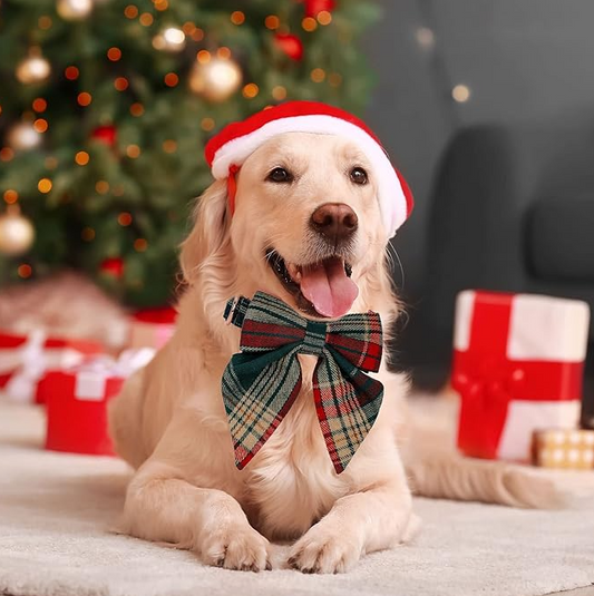Collier De Chien À Carreaux Avec Noeud Pour Noël Et Les Occasions Festives