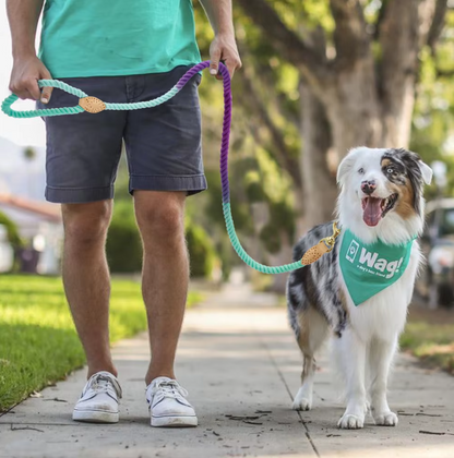 Laisse Spirale En Coton Pour Chiens Avec Mousqueton