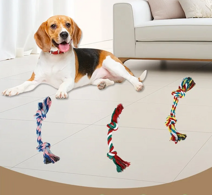 Jouets pour Chiens Corde - Jouets à Mâcher Multicolores pour Chiens