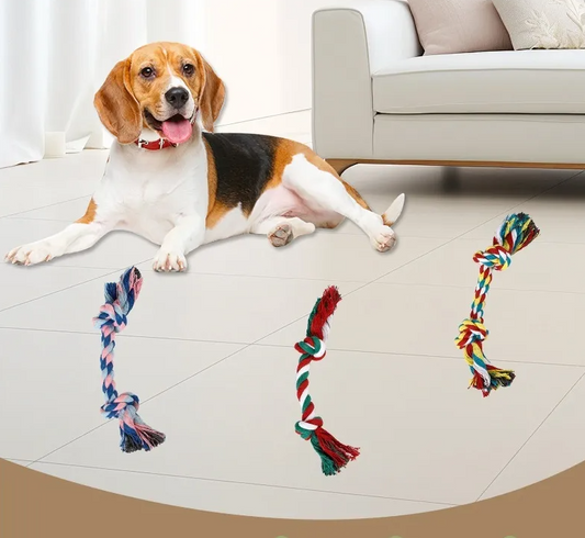 Jouets pour Chiens Corde - Jouets à Mâcher Multicolores pour Chiens