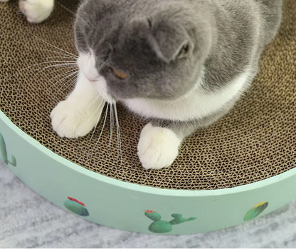 Boucle en Carton pour Chat avec Design Cactus - Griffoir de Style Moderne