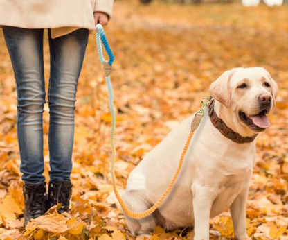 Laisse Spirale En Coton Pour Chiens Avec Mousqueton