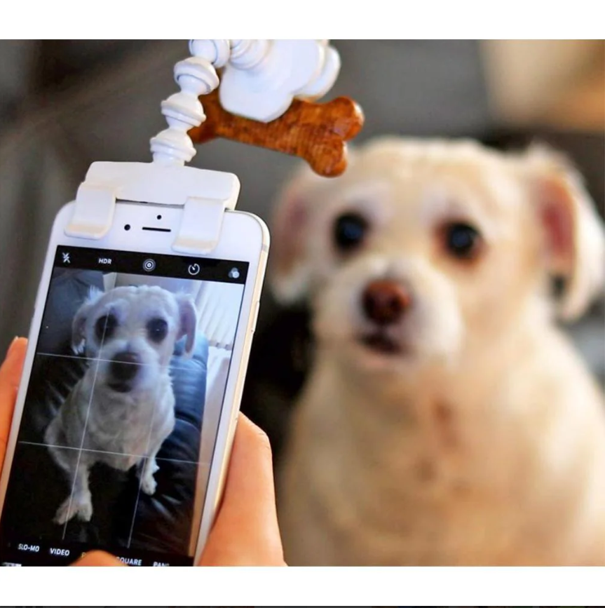 Selfie - Stick pour Animaux de Compagnie avec Support pour Friandises