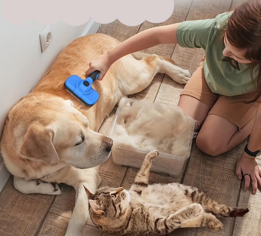 Kit De Toilettage Pour Animaux De Compagnie Avec Coupe-griffes Lime Et Brosse Autonettoyante