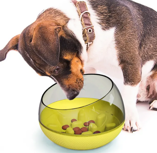Ecuelle Interactive pour Chiens - Prise de Nourriture Lente pour Soutenir la Santé