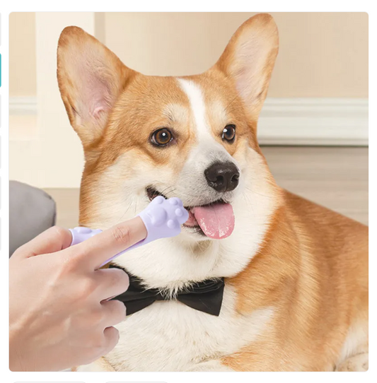 Gratte-langue pour Chiens - Outil de Toilettage en Forme de Patte pour L' Hygiène Dentaire