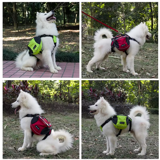 Sac À Dos Pour Chiens Pour Activités De Plein Air - Réglable Et Étanche En Rouge Et Gris