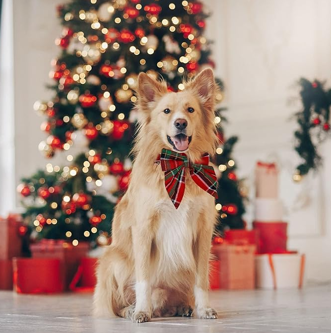 Collier De Chien À Carreaux Avec Noeud Pour Noël Et Les Occasions Festives