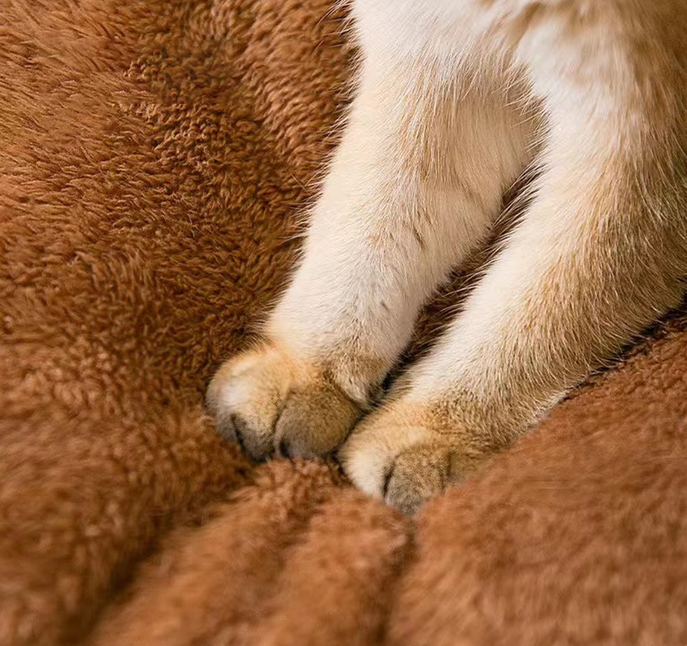 La Maison Confortable pour Animaux de Compagnie - Lit Doux et Chauffant pour Chats et Chiens au Design Douillet