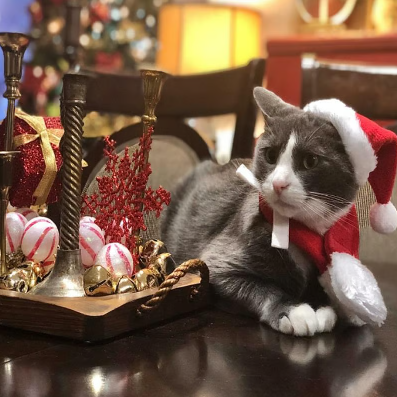 Casquette de Noël avec Écharpe pour Animaux Domestiques