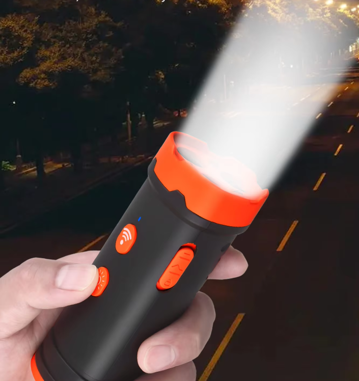 Appareil de Dressage pour Chiens avec Fonction Sonore et Lumineuse
