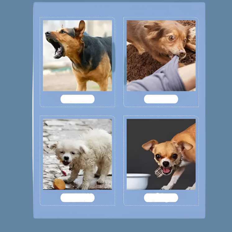Développeur de Chien Portable avec Télécommande
