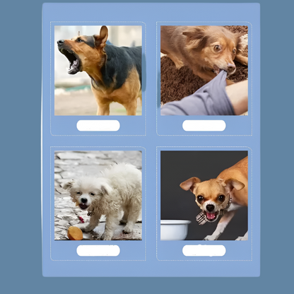Développeur de Chien Portable avec Télécommande