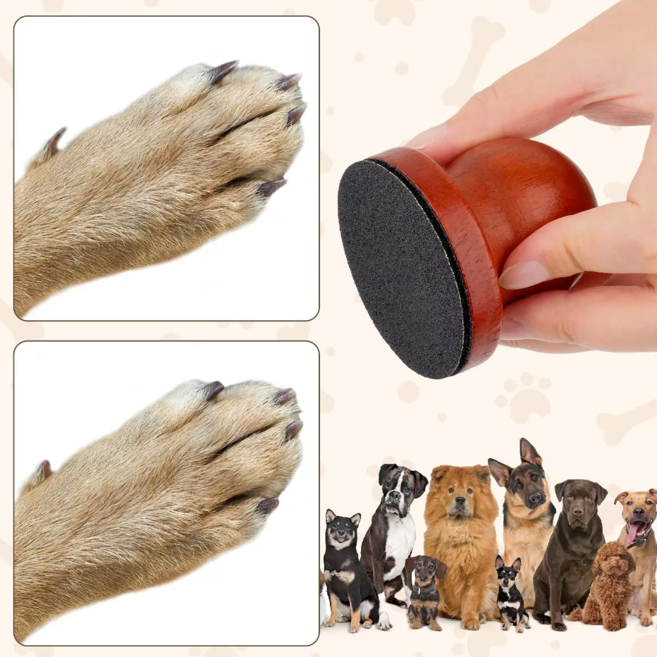 Polissoir pour Griffes de Chien - un Soin des Griffes Doux et Efficace pour des Pattes Lisses et Soignées