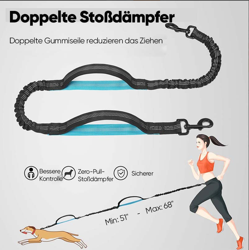 Laisse pour Chien Mains - Libres avec Poche Ventrale