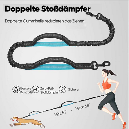 Laisse pour Chien Mains - Libres avec Poche Ventrale