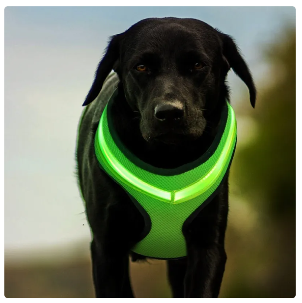 Harnais Confortable Pour Chien Avec Bandes Réfléchissantes - Respirant Et Réglable