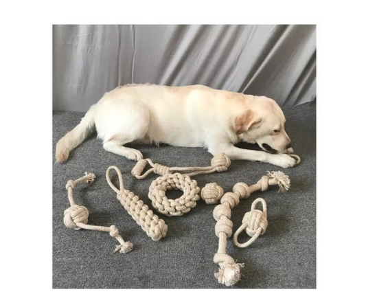 Ensemble de Jouets à Mâcher Robustes en Corde - un Plaisir Durable pour les Chiens